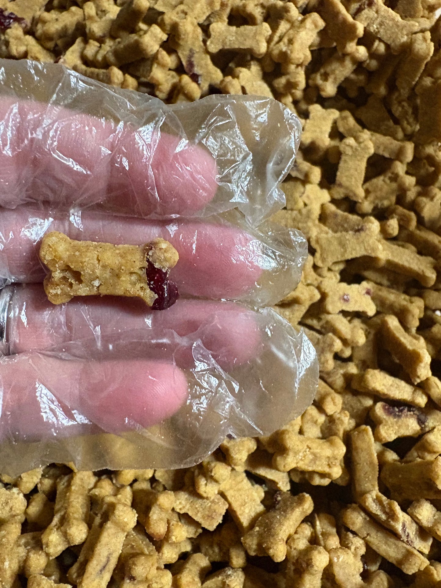 BeyondWhiskers Pumpkin and Cranberry Soft mini Dog Treats Bones image 2