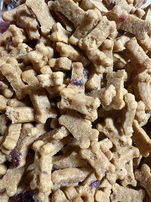BeyondWhiskers Pumpkin and Cranberry mini Soft Dog Treats Bones (BULK) image 1