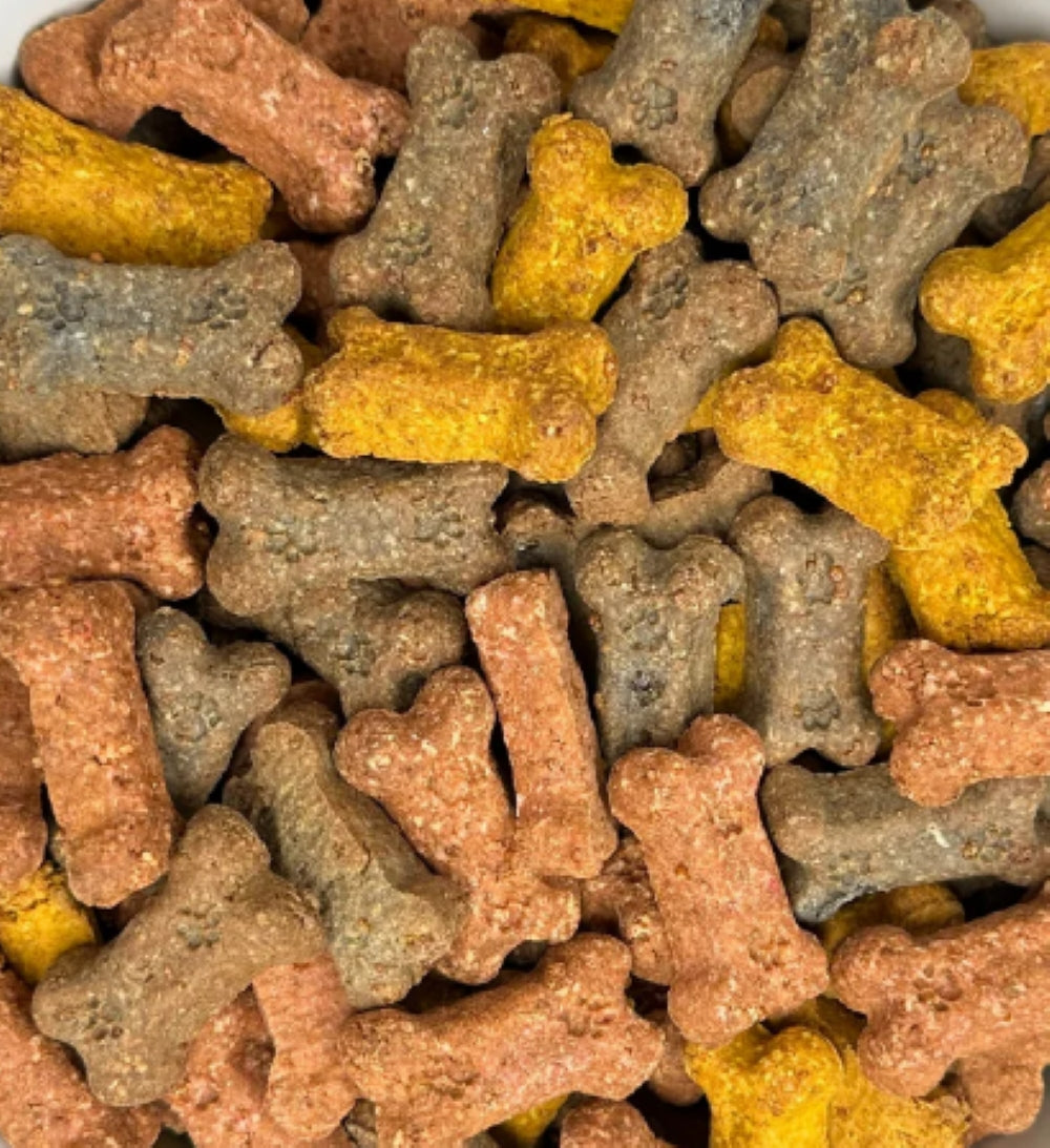 Meaty Mini Bites Beef, Turkey, and chicken soft dog treats (BULK) image 0