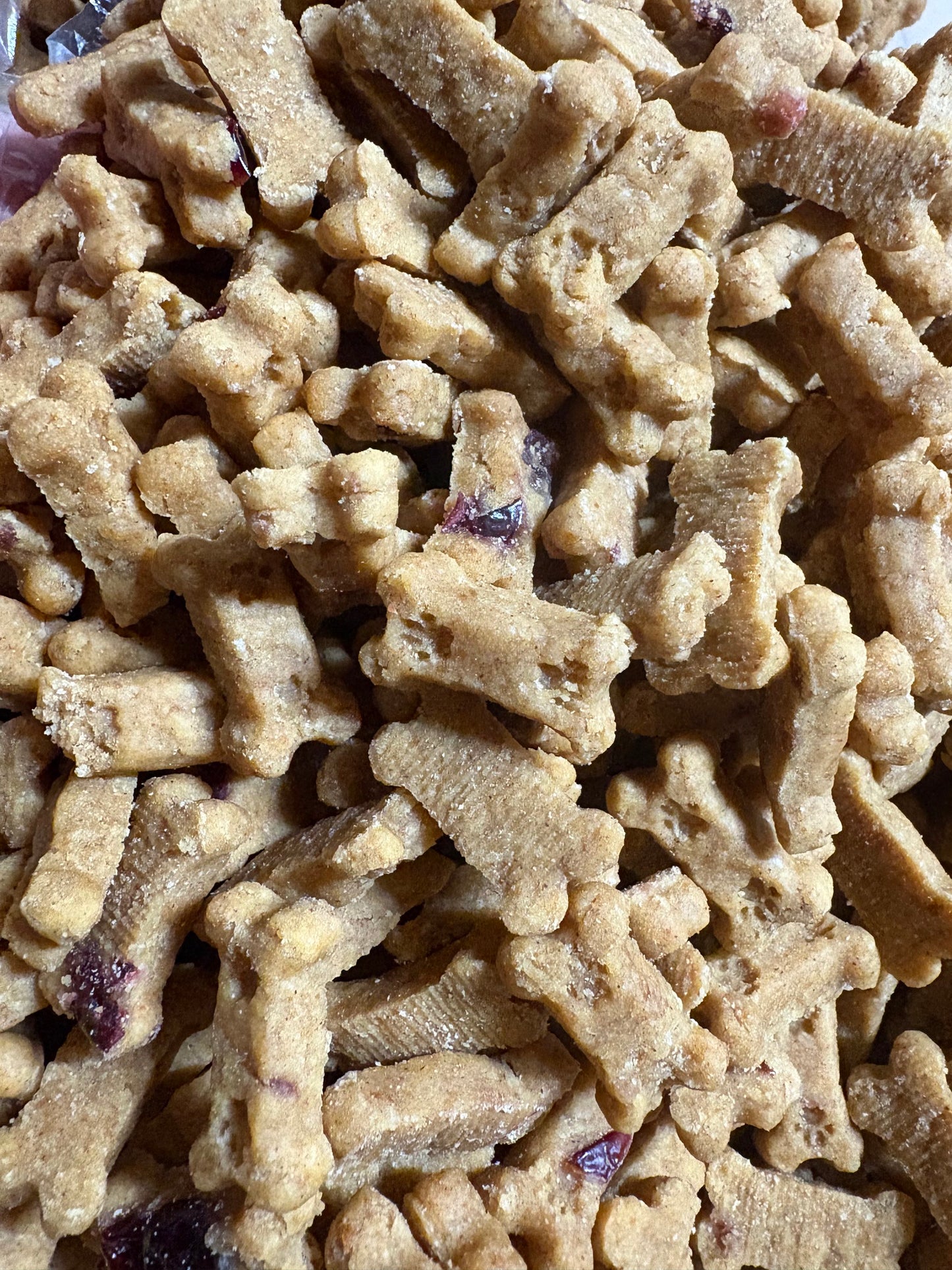BeyondWhiskers Pumpkin and Cranberry Soft mini Dog Treats Bones image 1