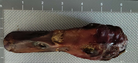 Duck Heads dog treats, Dog chews (1 Chew) image 1