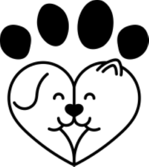 Why BeyondWhiskers Treats Are a Cut Above the Rest