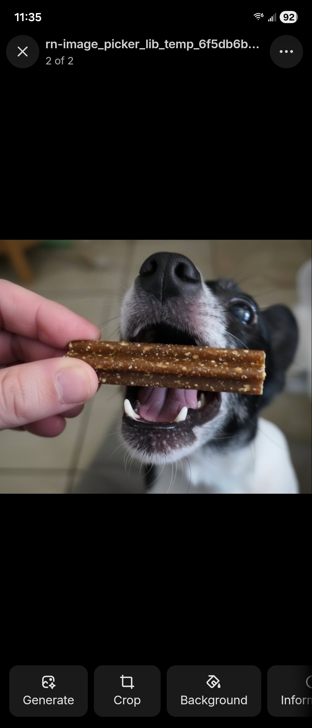 Dog Dental Chews & Meaty Treats