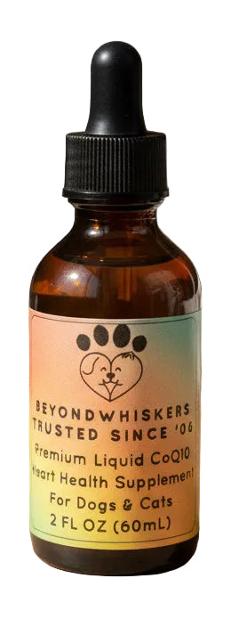 Premium Liquid CoQ10 Heart Health Supplement for Dogs & Cats - 60 ml | BeyondWhiskers