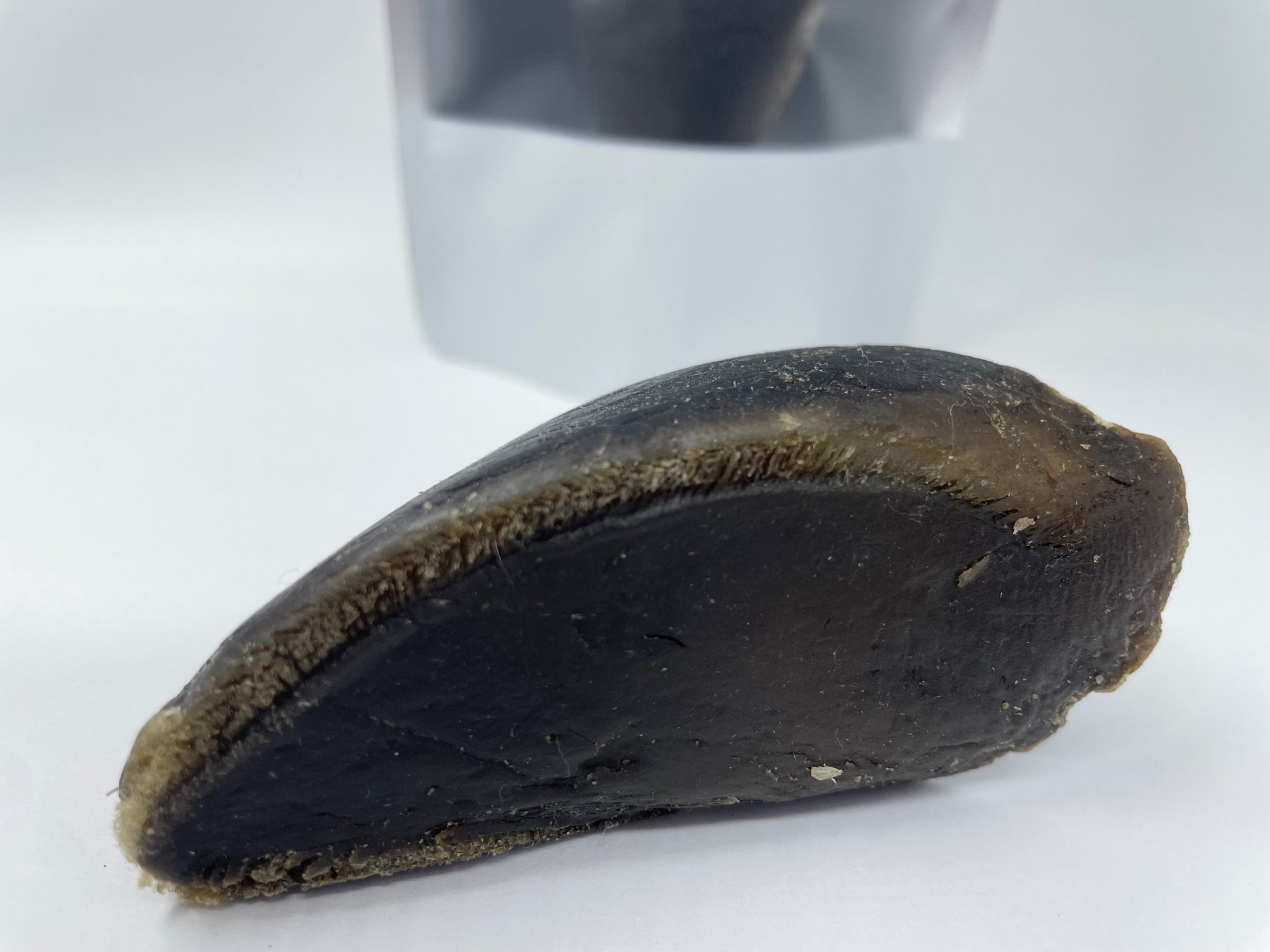 Cow Hooves Dog treats Dog chews image 3
