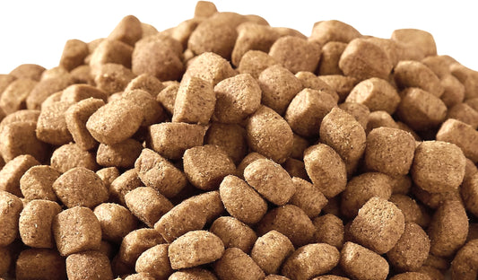 BeyondWhiskers High-Calorie Wild Caught Salmon & Sweet Potato Dry Dog Food image 0