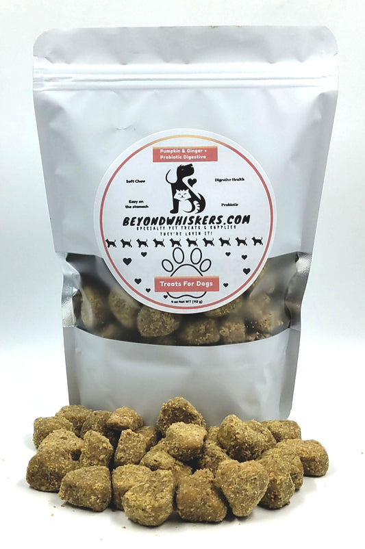 BeyondWhiskers Pumpkin Ginger digestive Probiotics Dog Treats image 0