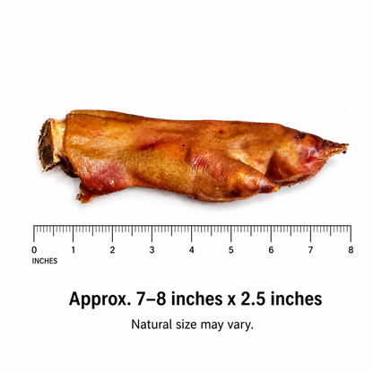 Dehydrated Pig Feet for Dogs