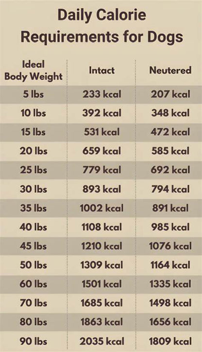BeyondWhiskers High-calorie grain-free Lamb Powdered Dog Food (500 kcal/cup) image 1