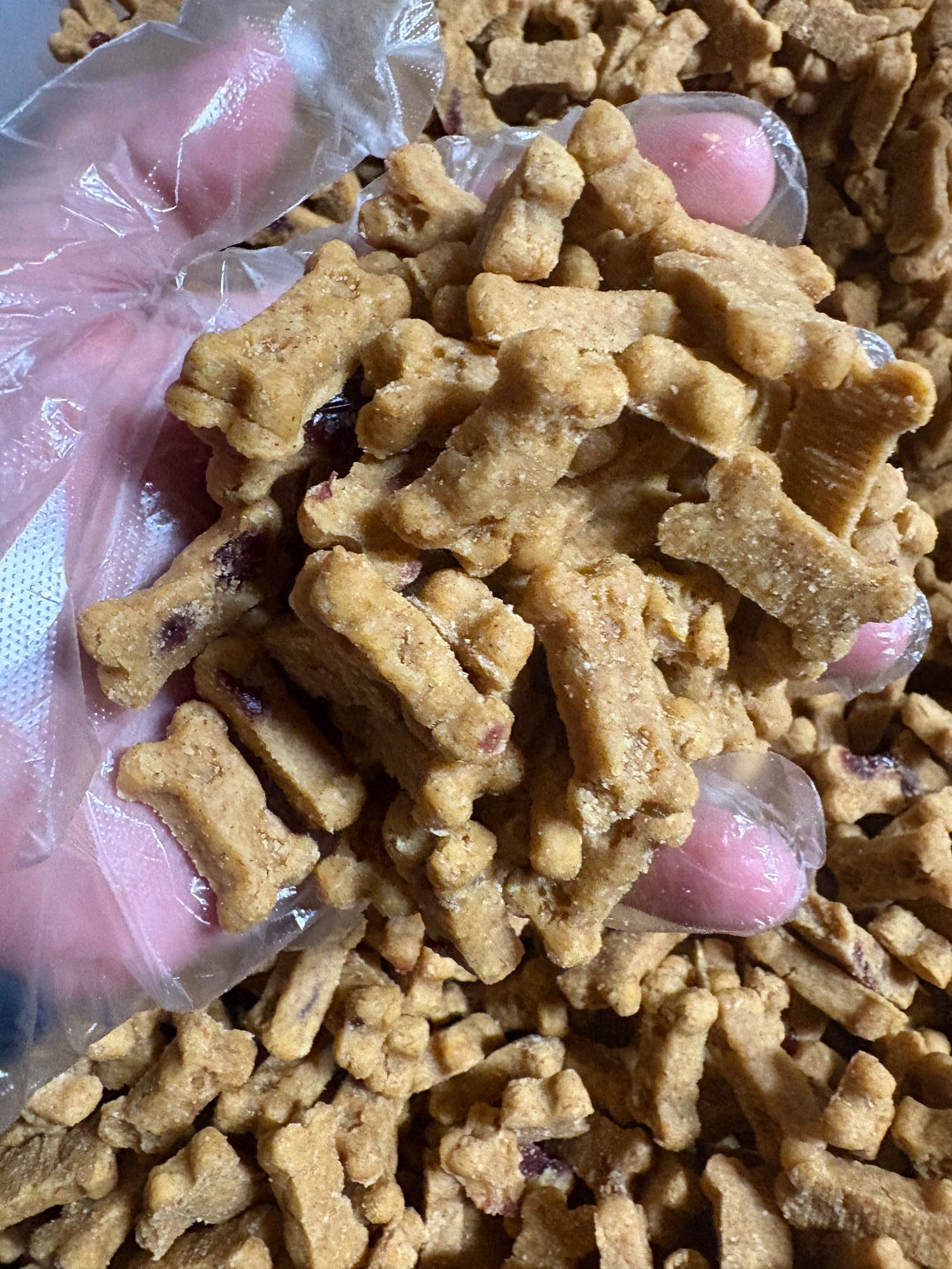 BeyondWhiskers Pumpkin and Cranberry Soft mini Dog Treats Bones image 0