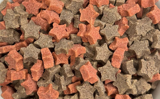 Blueberry and Cranberry Soft Dog Treats (Bulk) image 0