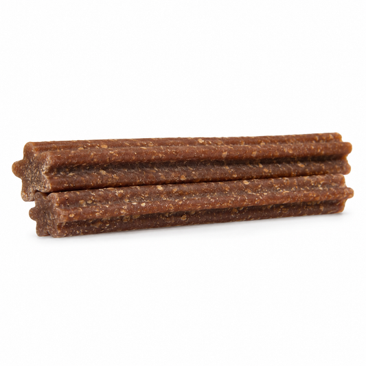 Pumpkin Dental Chews for Dogs | Firm Chewy Treats | USA Made