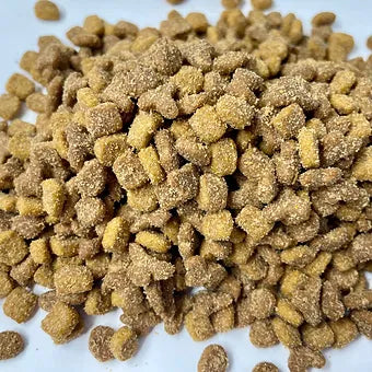 ​​​​​​​BeyondWhiskers Gentle Stomach Urinary Support Complete Dry Cat Food image 0