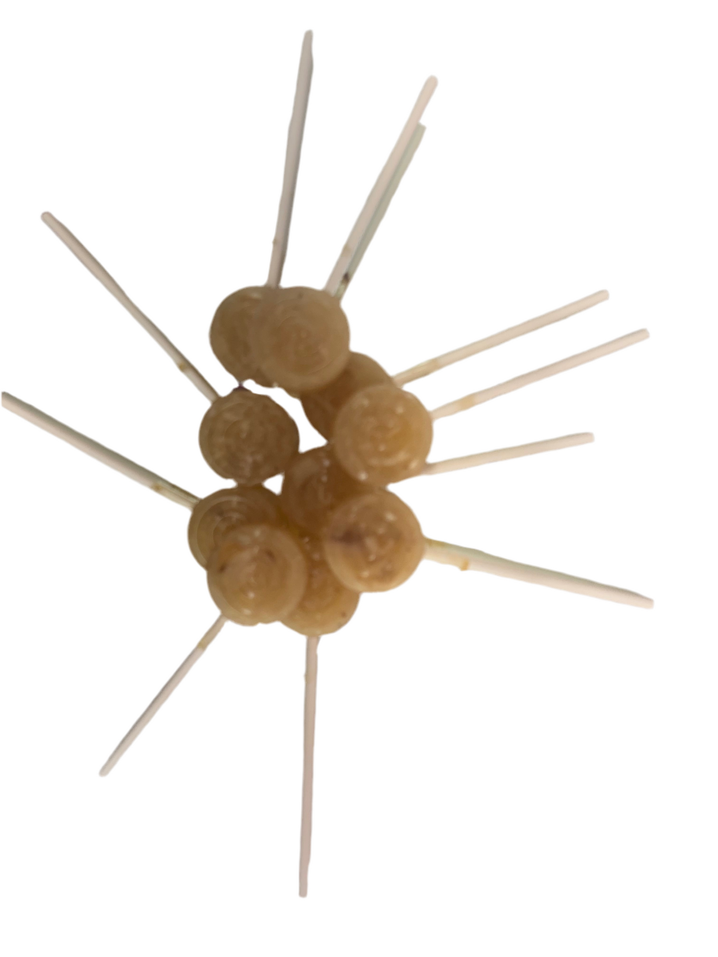 Cat Lollipops, soft lick-able Wild Caught