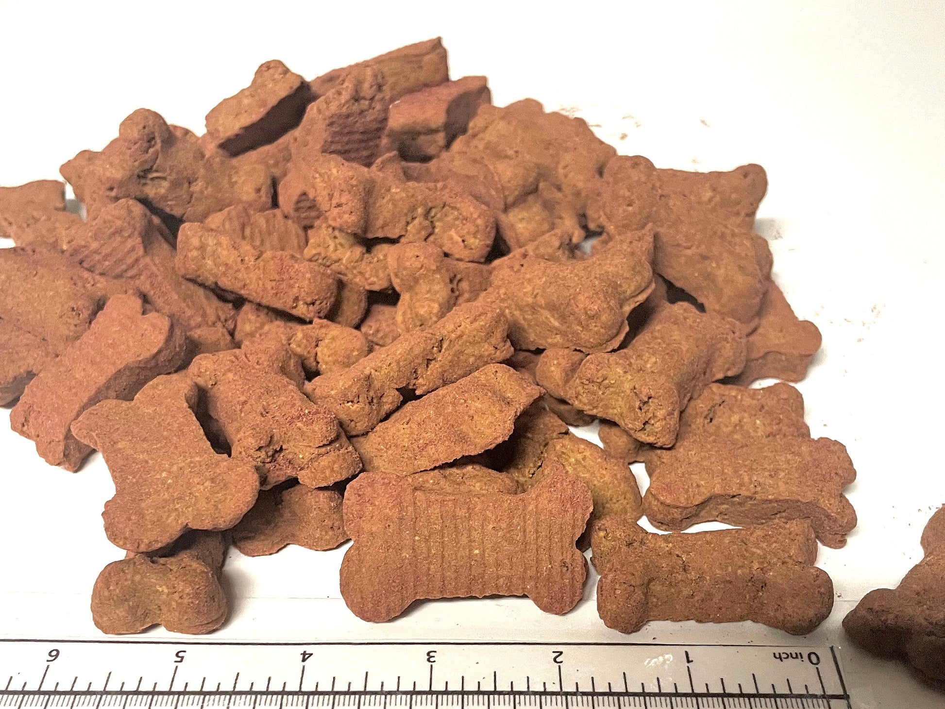 BeyondWhiskers Cranberry Pumpkin Bitty Bites Crunchy Dog Treats image 0