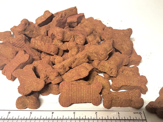 BeyondWhiskers Cranberry Pumpkin Bitty Bites Crunchy Dog Treats image 0