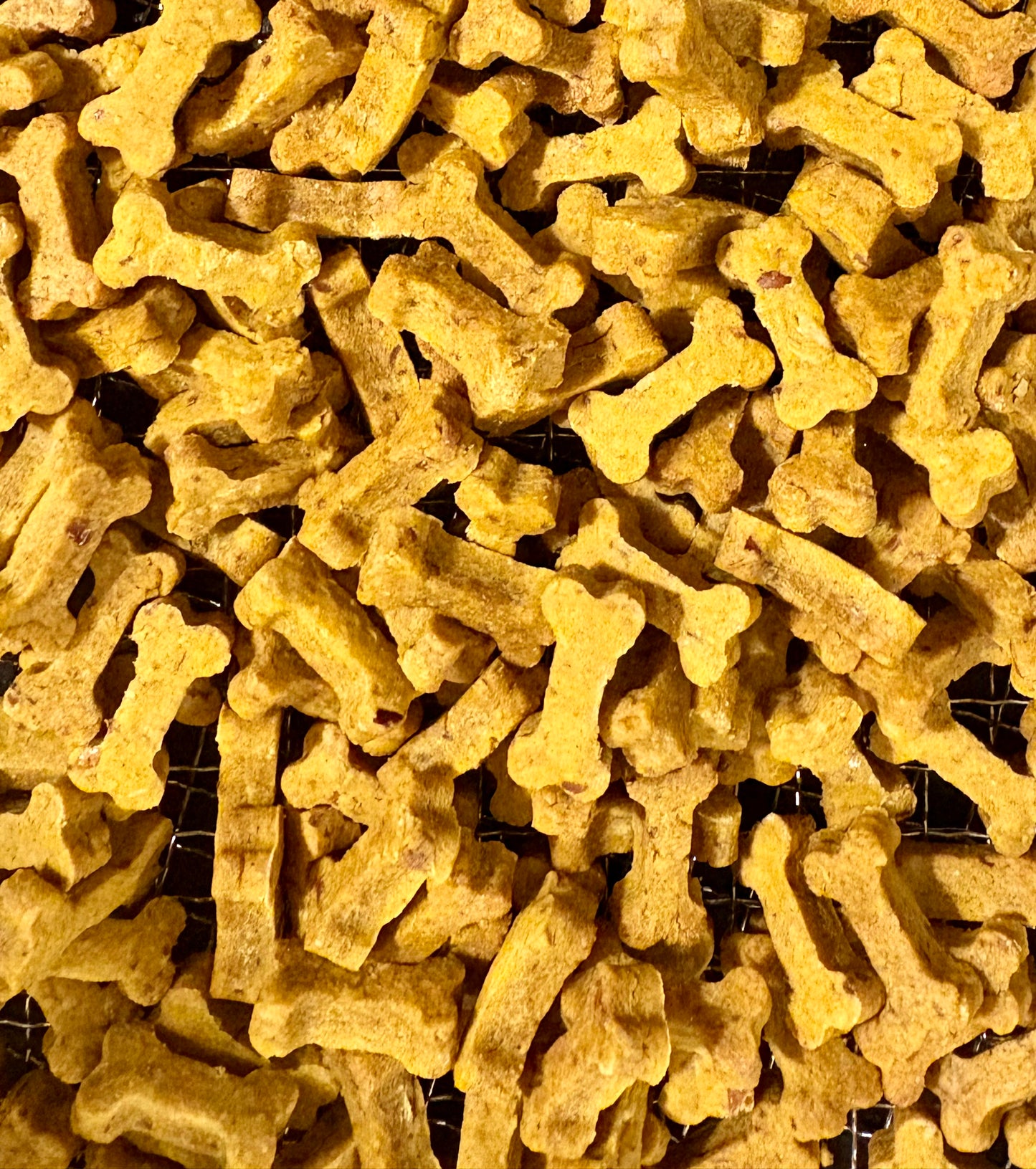 Pumpkin and Cranberry Tiny Bones Crunchy Bulk dog treats