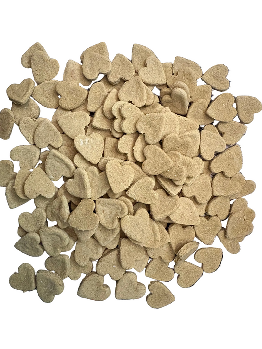 Pumpkin Ginger Probiotic Crunchy Dog Treats | BeyondWhiskers