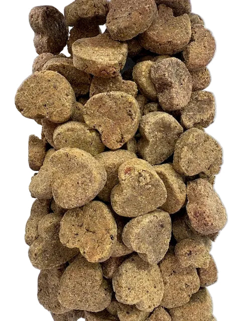 Pumpkin Ginger Probiotic Crunchy Dog Treats | BeyondWhiskers