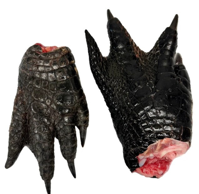 Dehydrated Alligator Feet Dog Treats BULK 10 LARGE FEET