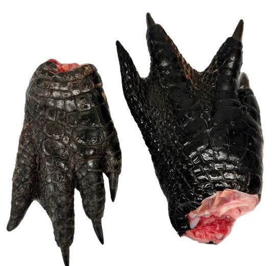 Dehydrated Alligator Feet Dog Treats BULK 10 LARGE FEET