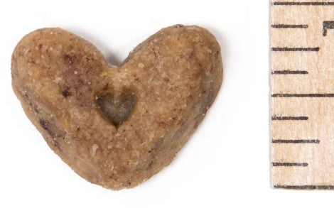 Vanilla crunchy dog treats from Beyondwhiskers - natural USA-made pet treats with honey, molasses, and natural vanilla flavor
