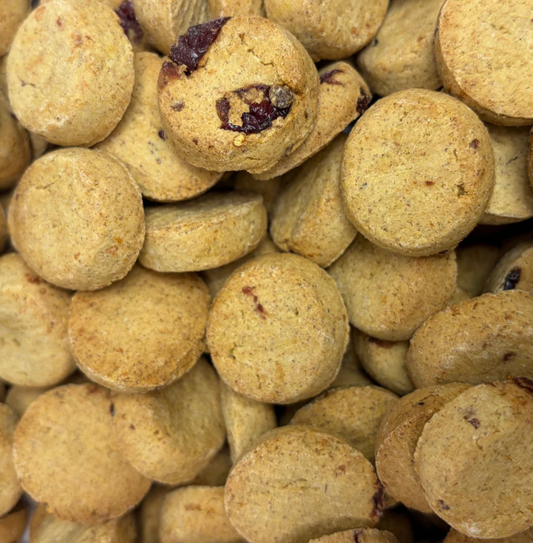 Pumpkin Yogurt Delight Bites – Tasty Crunch Dogs Love | Beyondwhiskers