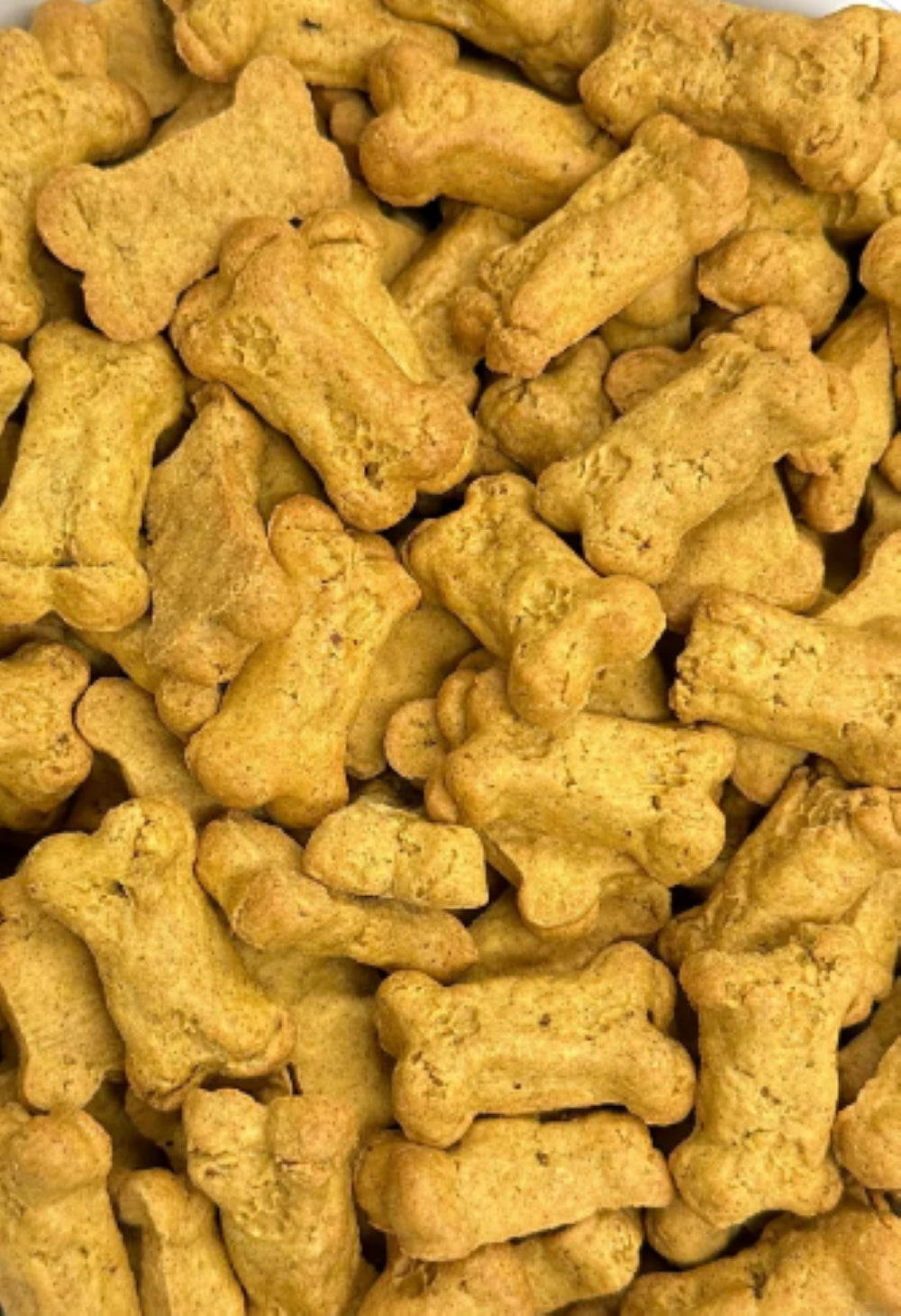 BeyondWhiskers Pumpkin Bites Crunchy Dog Treats image 0
