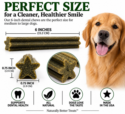 Dental Chew Sticks Dog Treats, 6" Durable Dental Support