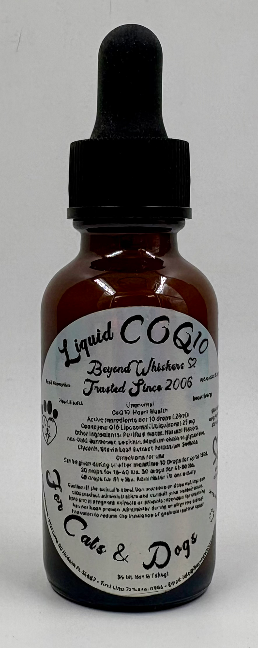 BeyondWhiskers Liquid Coq10 for pets 35ml Bottle Cats and Dogs image 0