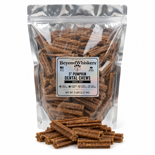 Bulk Dental Chews for Small Dogs | 3-Inch Pumpkin | USA Made