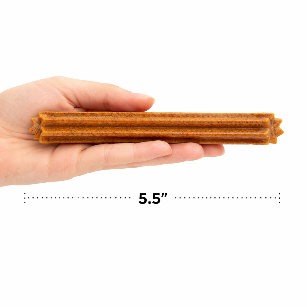 Pumpkin Dental Dog Chews – Natural Teeth Cleaning Treats | BeyondWhiskers