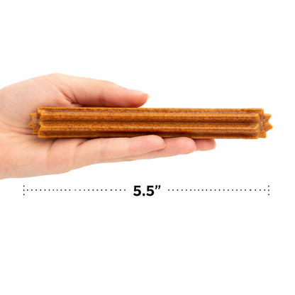 Pumpkin Dental Dog Chews – Natural Teeth Cleaning Treats | BeyondWhiskers