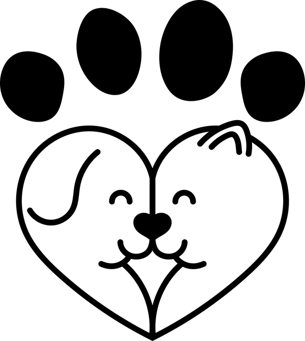 BeyondWhiskers