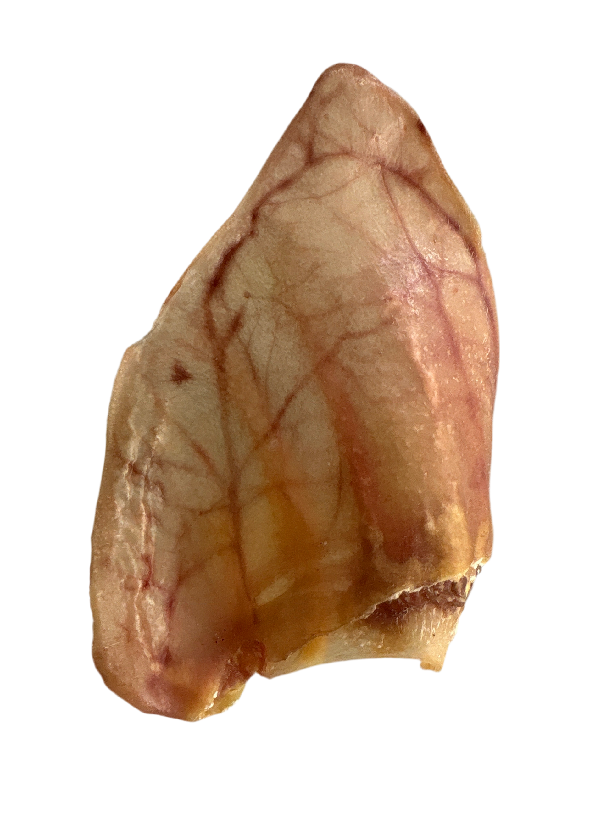 Natural pig ears for dogs long lasting dehydrated hog ear chews high protein USA made dog treats