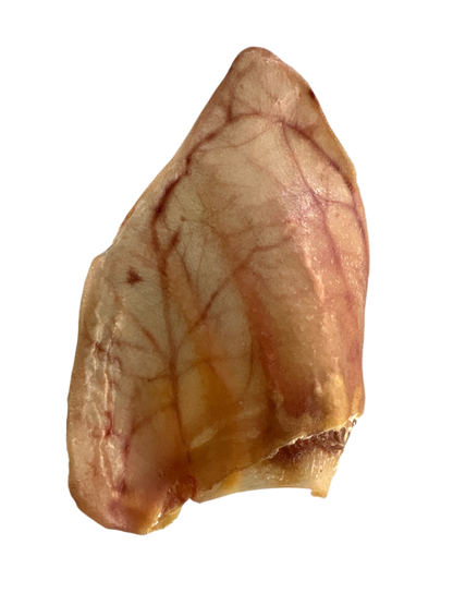Natural pig ears for dogs long lasting dehydrated hog ear chews high protein USA made dog treats