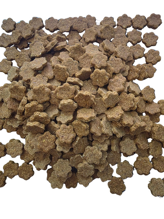 Premium Pumpkin Cranberry Crunchy Dog Treats | Beyondwhiskers