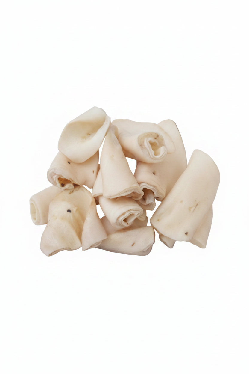 White Coned Cow Ears Wholesale | Bulk Natural Dog Chews | Coned Cow Ear Dog Treats | Made in USA