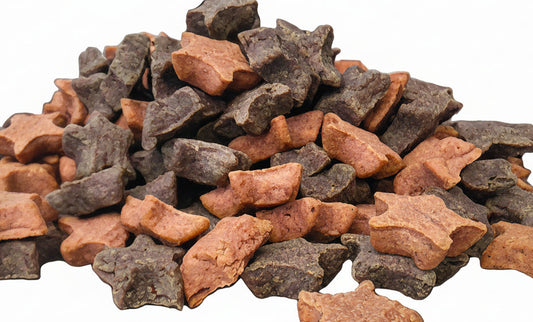 Soft Blueberry & Cranberry Dog Treats – All-Natural | Beyondwhiskers