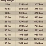 BeyondWhiskers High-calorie grain-free Lamb Powdered Dog Food (500 kcal/cup) 2