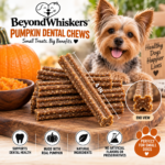 Bulk Dental Chews for Small Dogs | 4-Inch Pumpkin | USA Made 5