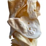White Coned Cow Ears Wholesale | Bulk Natural Dog Chews | Coned Cow Ear Dog Treats | Made in USA 1
