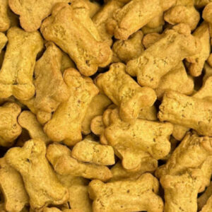 Pumpkin Bites Crunchy Dog Treats from BeyondWhiskers