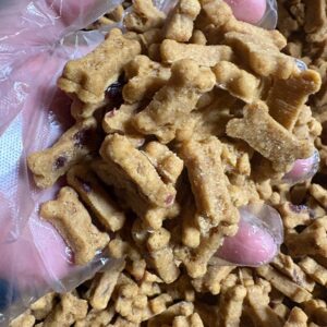 Pumpkin & Cranberry Soft Dog Treats from BeyondWhiskers