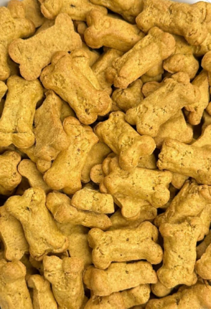Pumpkin Bites Crunchy Dog Treats | Wholesale Bulk Dog Treats | Made in USA