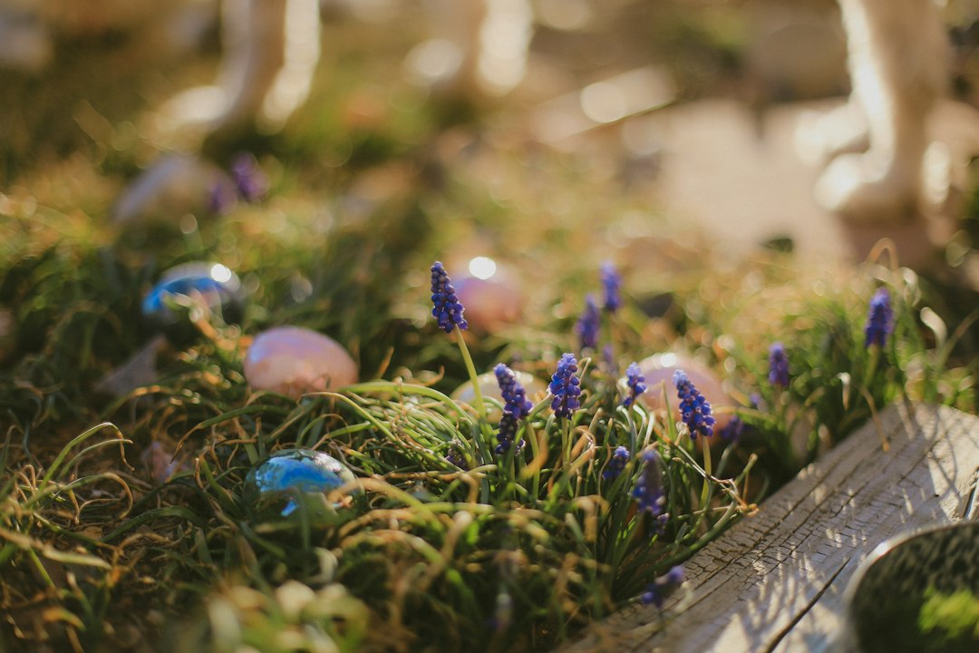 Real decorated Easter eggs in grass and spring flowers
