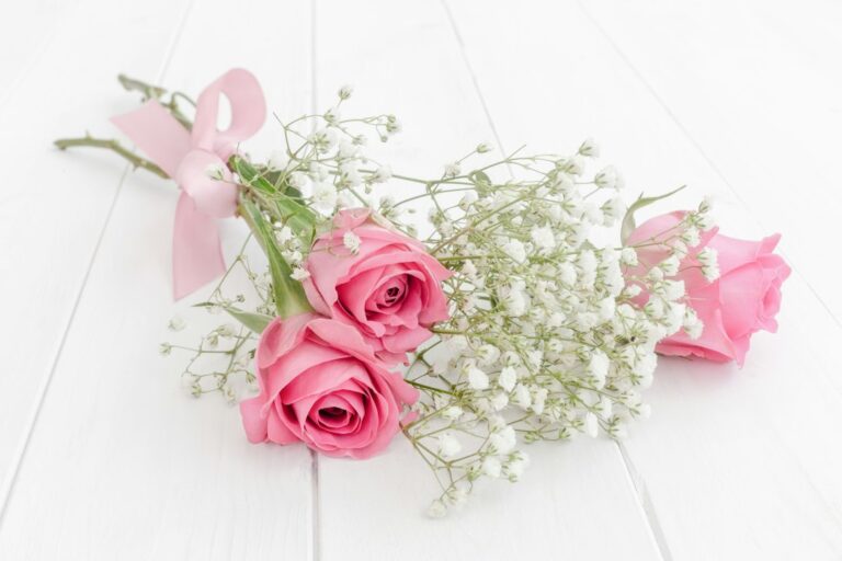 Soft pink roses and baby's breath tied with a ribbon on a bright white background