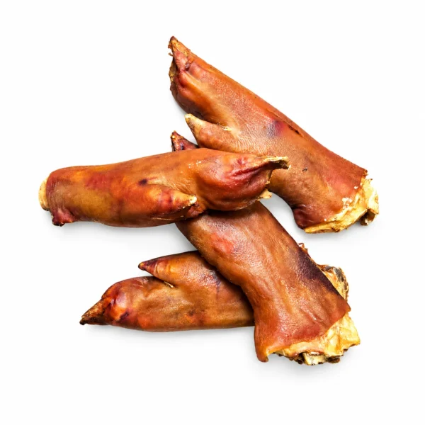 Four dehydrated pig feet dog chews on a white background