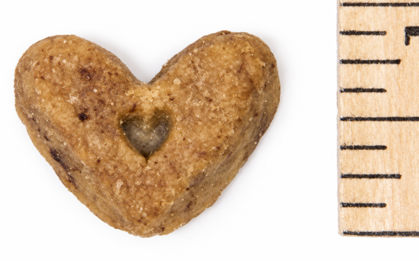 BeyondWhiskers Vanilla Crunchy Dog Treats